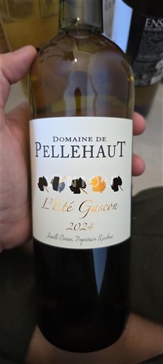 Jihozápad Côtes de Gascogne Domaine Pellehaut L'Été Gascon 2021