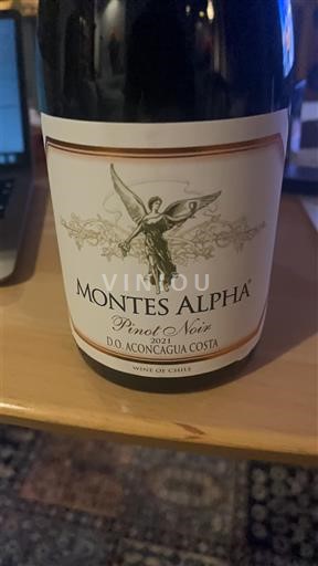 Aconcaguanlaakso Aconcagua Costa Montes Alpha Pinot Noir 2021