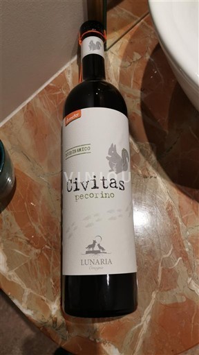 Abruzzo Đất Chieti Lunaria Civitas Pecorino 2024