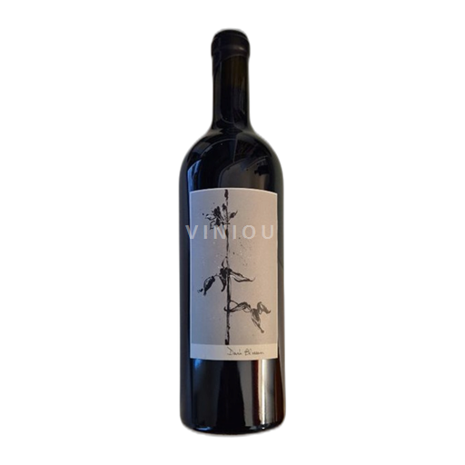 Kalifornijske AVA Nespecificirano Sine Qua Non Dark Blossom 2011