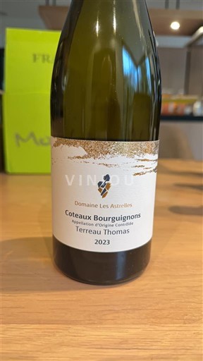 Burgundi Burgundin rinteet Domaine Les Astrelles Terreau Thomas 2023