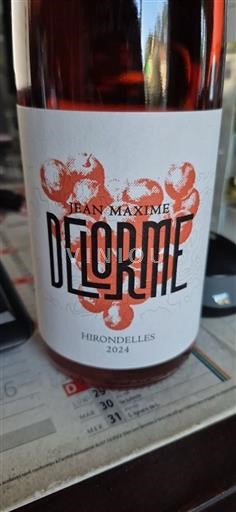Beaujolais Non specificato Jean Maxime Delorme Hirondelles 2024