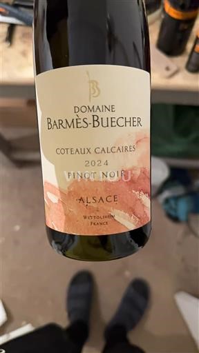 Alsace Pinot noir Domaine Barmès-Buecher Coteaux Calcaires 2024