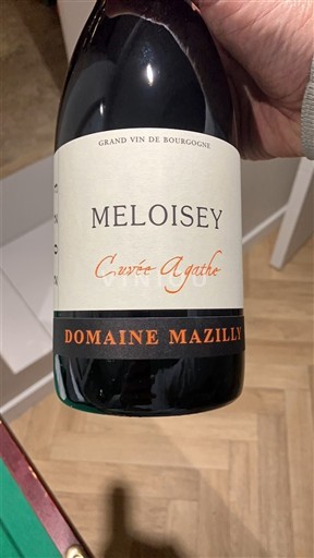 Borgonha Hautes-Côtes de Beaune Domaine Mazilly Agathe 2023
