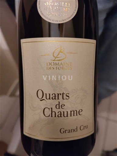 Víno Blanc liquoreux Domaine S Forces 2021 Francie Údolí Loiry Quarts de Chaume AOC Grand Cru