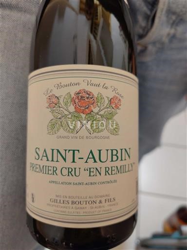 Borgogna Saint-Aubin Premier Cru Gilles Bouton & Fils En Remilly 2024