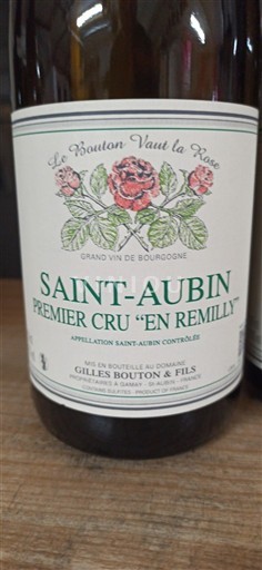 Bourgogne Saint-Aubin Premier Cru Gilles Bouton & Fils En Remilly 2024