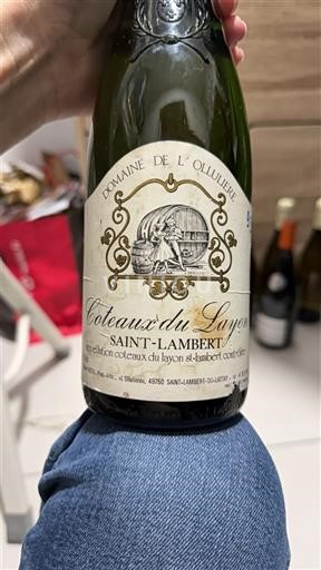 Valle del Loira No especificado Domaine L'Oullière 1993