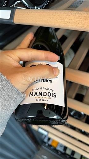 Champagne Champagne Mandois Brut Origine 2025