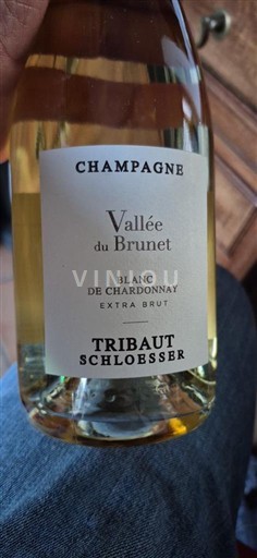 Champagne Sâm-panh Tribaut Schloesser Vallée du Brunet Không niên vụ