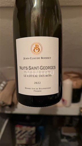 Burgundija Nuits-Saint-Georges Jean-Claude Boisset Le Coteau des Bois 2022