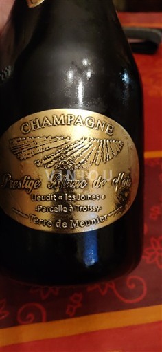 Champaña Champán Prestige Blanc de Noirs Leudit 'les Joins' Parcelle à Troissy Terre de Meunier 2020