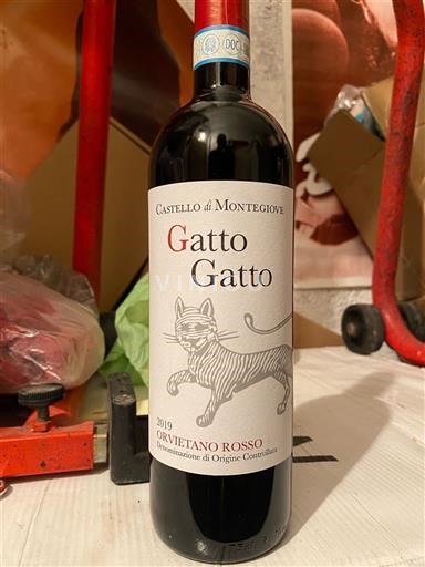 Umbria Non specificato Castello di Montegiove Gatto Gatto 2019