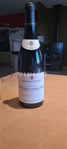 Burgundy Santenay Premier Cru Bouchard Père & Fils 2014