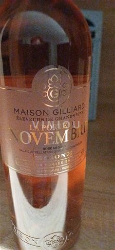 Valais No especificado Maison Gilliard La Porte de Novembre 2020