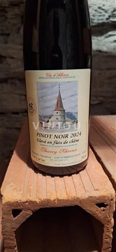 Alsasko Thierry Sherrer 2024