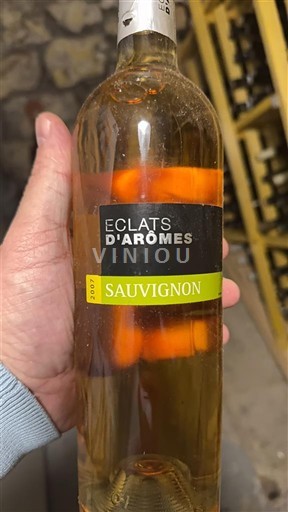 Jihozápad Côtes de Gascogne Éclats d'Arômes Sauvignon 2007