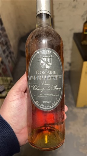 Sudoeste Côtes de Duras Domaine Des Allégrets 2007