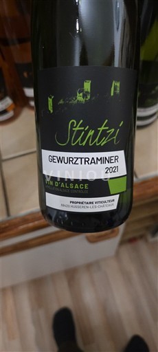 Alsacia Stintzi 2021