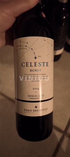Kastilie a León Ribera del Duero Pago del Cielo Roble 2024