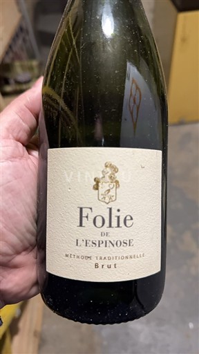 Valle del Loira Domaine L'epinay Folie de L'Espinose Sin añada