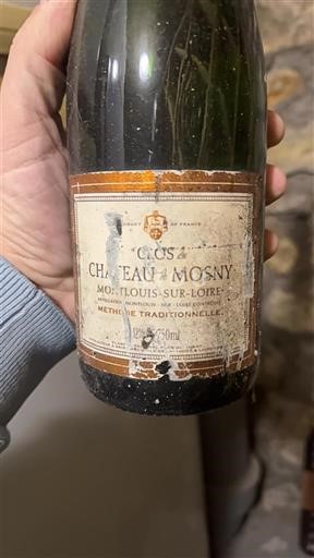 Loiren laakso Montlouis-sur-Loire Château Mosny Clos Ei vuosikertaa