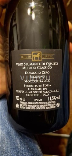 Abruzzo Nespecifikováno Tenuta Ulisse Pecorino pas dose 2020