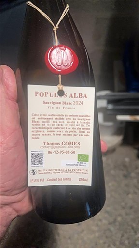 Vine Blanc sec Populus Alba Sauvignon Blanc Thomas Comes 2024 Frankrig Bordeaux Vin de France