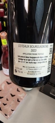 Bourgogne Coteaux bourguignons Vignerons Terres d'Or 2023