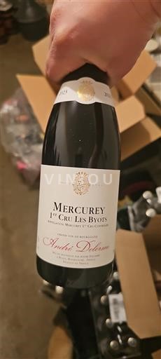 Bourgogne Mercurey Premier Cru André Delorme Mercurey 1er Cru Les Byots 2023