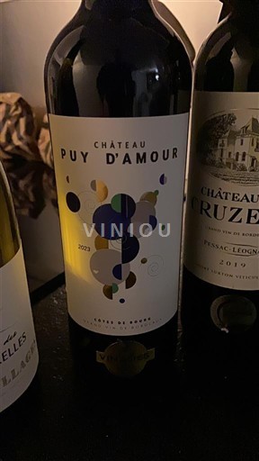 Bordeaux Côtes-de-bourg Château Puy d'Amour 2023