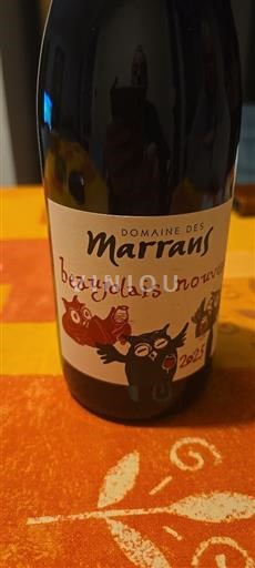 Beaujolais Beaujolais Nouveau Domaine S Marrans 2025