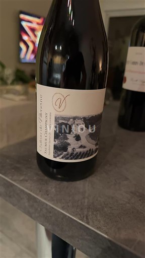 Vale do Ródano Saint-Joseph Domaine Villeneuve Saumur Champigny 2023