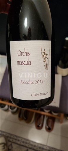 Bourgogne Claire Naudin Orchis mascula 2023