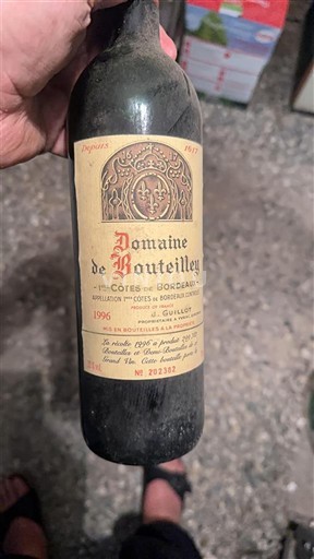Bordeaux Côtes de Bordeaux Domaine Bouteilley 1996
