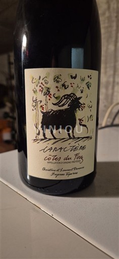 Loiren laakso Côtes-du-forez Christine et Laurent Demeue Caractère 2022