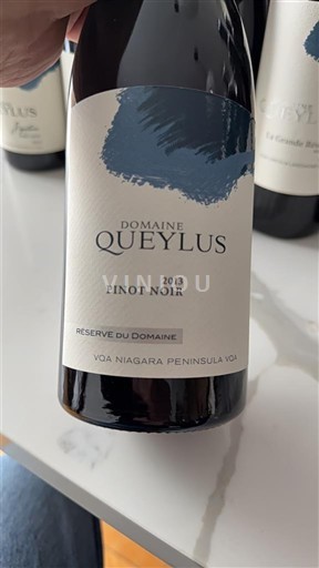Ontario Niagara-niemi Domaine Queylus Réserve du Domaine 2013
