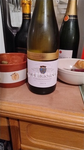 Bourgogne Cave d'Augustin Florent 2024