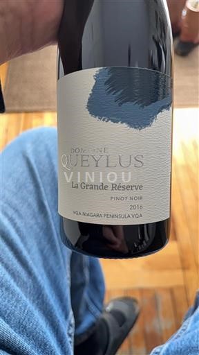 Ontario Penisola del Niagara Domaine Queylus La Grande Réserve 2016