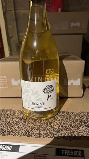 Provenza Côtes-de-Provence Hermitage saint martin Promesse de l ange 2019