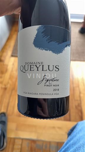 Ontario Penisola del Niagara Domaine Queylus Signature 2018