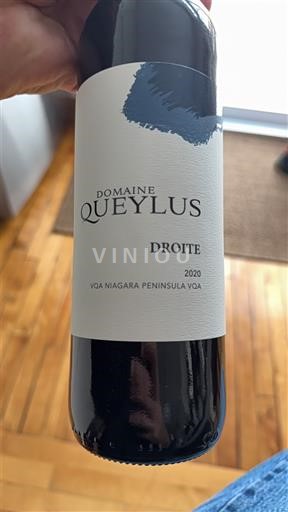Ontario Penisola del Niagara Domaine Queylus Droite 2020