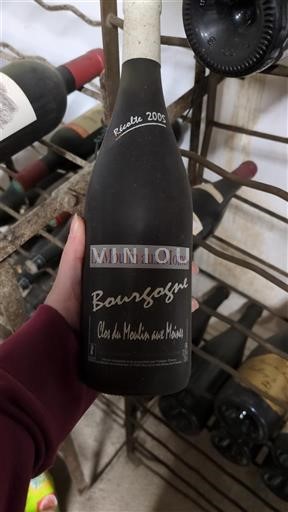 Burgundija Le Moulin aux Moines Clos du Moulin aux Moines 2005