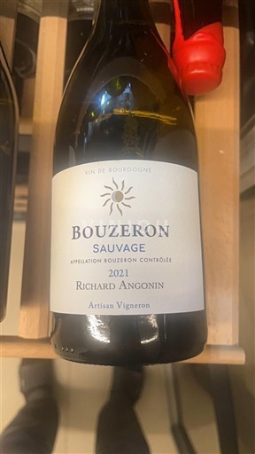 Burgundija Bouzeron Richard Angonin Sauvage 2021