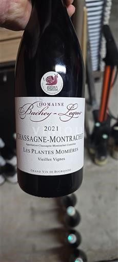 Burgund Chassagne-Montrachet Domaine Bachey-Legros Les Plantes Momières Vieilles Vignes 2021