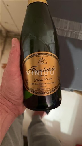 Valle del Loira No especificado Patrice Tamisé Fantaisie Sin añada