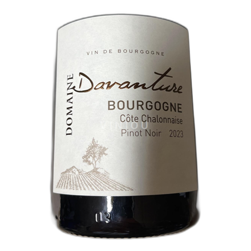 Burgundi Bourgogne Côte Chalonnaise Domaine Davanture 2023