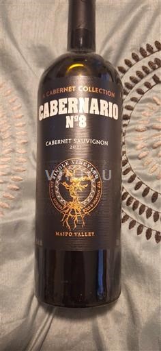 Maipo-vallei Maipo Alto Cabenario N°8 2021