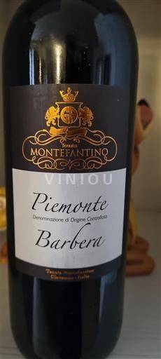 Piemonte Non specificato Montefantino 2024