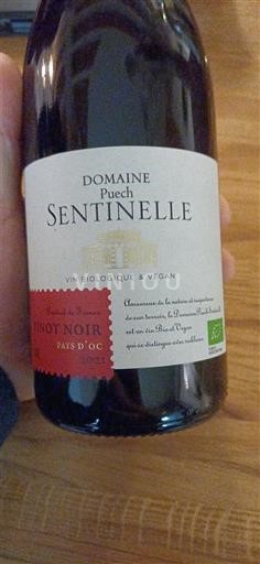 Linguadoca e Rossiglione Paese d'Oc Domaine Puech Sentinelle 2021